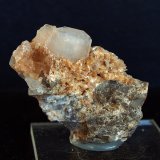 Celestina
5 x 3 cm
(Autor: Pedro Antonio)