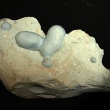 Opalo (variedad menilito)
14.5 x 8 cm
(Autor: Pedro Antonio)