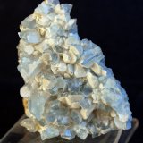 Celestina
5.5 x 5 cm
(Autor: Pedro Antonio)