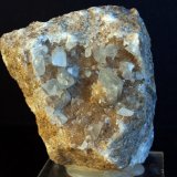 Celestina
8.5 x 7 cm
(Autor: Pedro Antonio)
