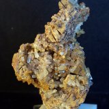 Celestina
9 x 5.5 cm
(Autor: Pedro Antonio)