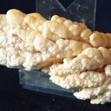 Aragonito
11 x 4 cm
(Autor: Pedro Antonio)