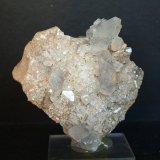 Celestina
8 x 7.5 cm
(Autor: Pedro Antonio)