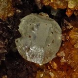 Anglesita
Cristal 3 mm
(Autor: Jorgina-Agusti-Màrius)