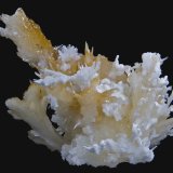 Aragonito (variedad flos ferri)
15,4 x 14,2 cm.
(Autor: Xavier bordas)