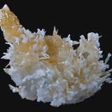Aragonito (variedad flos ferri)
15,4 x 14,2 cm.
(Autor: Xavier bordas)
