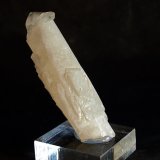 Celestina
6 x 1.5 cm
(Autor: Pedro Antonio)