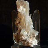 Celestina
7 x 3 cm
(Autor: Pedro Antonio)