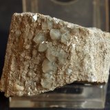 Celestina
6 x 4 cm
(Autor: Pedro Antonio)