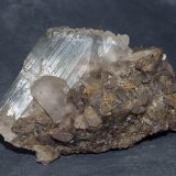 Yeso
11 x 7 cm
(Autor: Pedro Antonio)