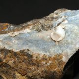Cuarzo (variedad calcedonia) y clinoptilolita
7.5 x 5 cm
(Autor: Pedro Antonio)