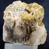Celestina
6 x 7 cm
(Autor: Pedro Antonio)