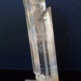 Yeso
9 x 2.5 cm
(Autor: Pedro Antonio)