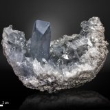 Celestina
118 X 98 mm
(Autor: Manuel Mesa)