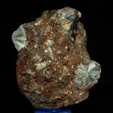 Prehnita
7 x 5.5 cm
(Autor: Pedro Antonio)