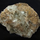 Celestina
8.5 x 7 cm
(Autor: Pedro Antonio)