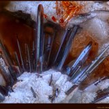 Goethita
FoV: 2,2 x 1,7 mm
(Autor: Jose Angel Carrero)