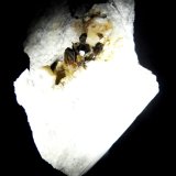 Allanita-(Ce) y Dolomita.
50x45 mm.
(Autor: Jesus Franquesa Baucells)