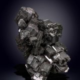 Chorlo
87 x 68 mm
(Autor: Manuel Mesa)