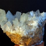 Celestina
10 x 6 cm
(Autor: Pedro Antonio)