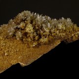 Yeso
7 x 3 x 3 cm
(Autor: Javier Rodriguez)