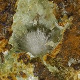 Fluorapatito
Esfera 0,3
(Autor: Jorgina-Agusti-Màrius)