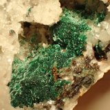Malaquita, Cuarzo
Encuadre  1,5 x 1,5 cm
(Autor: Frederic Varela)
