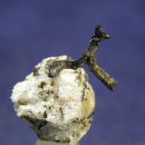 Plata
2 x 1,5 x 1 cm
(Autor: Frederic Varela)