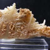 Cerusita
7cm
(Autor: yowanni)