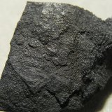 Arsénico
2,5 x 2,5 cm (encuadre aprox)
(Autor: Frederic Varela)