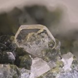 Apatito
Cristal 2,2 mm
(Autor: Jorgina-Agusti-Màrius)
