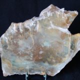 (Autor: Joan Martinez Bruguera)