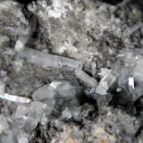 Penfieldita
Cristal mayor 11 mm.
(Autor: Antonio P. López)
