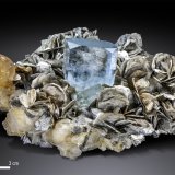 Berilo (variedad aguamarina), Microclina y Moscovita
142 x 114 mm
(Autor: Manuel Mesa)