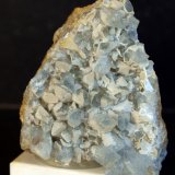 Celestina
6 x 5 cm
(Autor: Pedro Antonio)