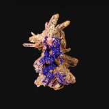 Cuarzo, Azurita
6,3 x 4,4 cm.
(Autor: Xavier bordas)