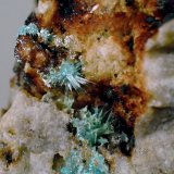 Aurichalcita (Auricalcita)
Medida: 3,5 x 3,5 x 3,2 cms
(Autor: Joan Martinez Bruguera)