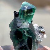 Fluorita, Chorlo
41 mm x 36 mm. Cristal mayor: 16 mm.
(Autor: Carles Millan)