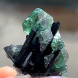 Fluorita, Chorlo
41 mm x 36 mm. Cristal mayor: 16 mm.
(Autor: Carles Millan)