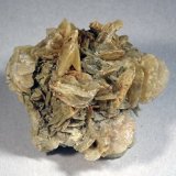 Yeso
Medida: 5,7 x 5,5 x 4,3 cms
(Autor: Joan Martinez Bruguera)