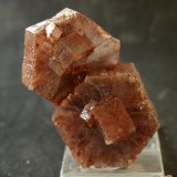 Aragonito
6 x 4.5 cm
(Autor: Pedro Antonio)