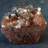 Aragonito con Cuarzo
4.5 x 4 cm
(Autor: Pedro Antonio)