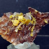 Wulfenita
7.5 x 4.5 cm
(Autor: Pedro Antonio)