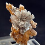 Aragonito
5.5 x 3 cm
(Autor: Pedro Antonio)