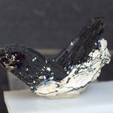 Azurita
4.5 x 3.5 cm
(Autor: Pedro Antonio)