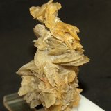 Yeso
6.5 x 4.5 cm
(Autor: Pedro Antonio)