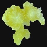 Brucita
7,2 x 7,1 cm.
(Autor: Xavier bordas)