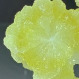 Brucita
7,2 x 7,1 cm.
(Autor: Xavier bordas)