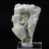 Marcasita
5 x 3 cm
(Autor: Pedro Antonio)