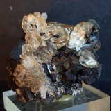 Yeso
6 x 5.5 cm
(Autor: Pedro Antonio)